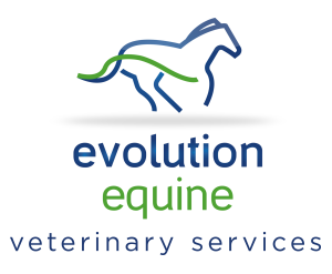 Out of hours - Evolution Equine Vets