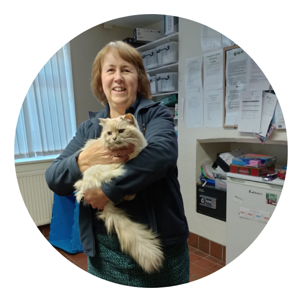 Langport and Street Vets - Meet our team - Linda Biffen