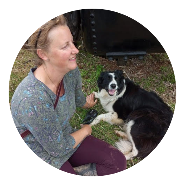 Langport and Street Vets - Meet our team - Tracey Phillips